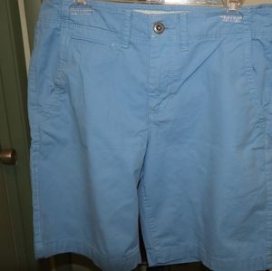 American Eagle Outfitters Shorts size 32